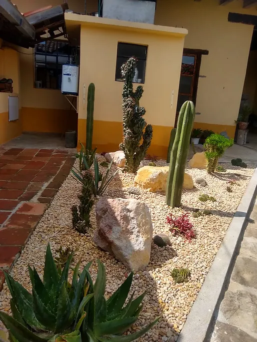 Courtyard plantings