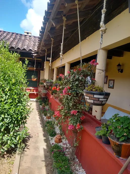 Flower garden